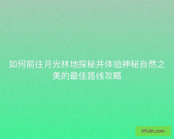 如何前往月光林地探秘并体验神秘自然之美的最佳路线攻略 如何前往月光林地探秘并体验神秘自然之美的最佳路线攻略