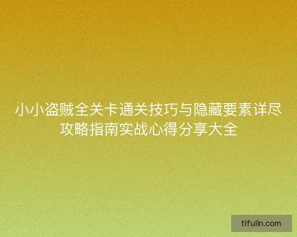 小小盗贼全关卡通关技巧与隐藏要素详尽攻略指南实战心得分享大全