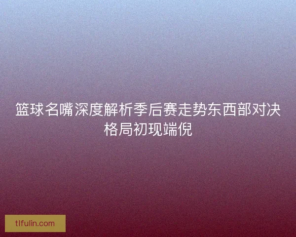 篮球名嘴深度解析季后赛走势东西部对决格局初现端倪