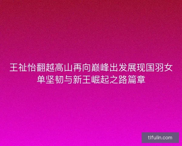 王祉怡翻越高山再向巅峰出发展现国羽女单坚韧与新王崛起之路篇章