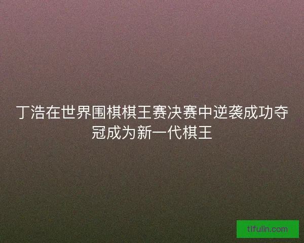 丁浩在世界围棋棋王赛决赛中逆袭成功夺冠成为新一代棋王